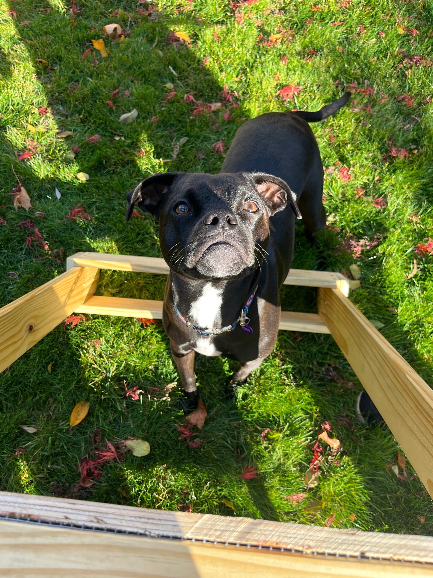 Standard Rocker Screen for Archaeology